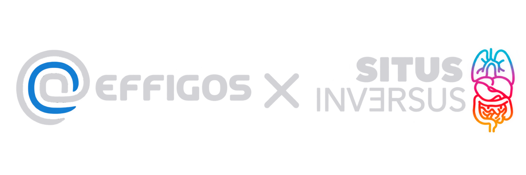 Effigos × Situs Inversus